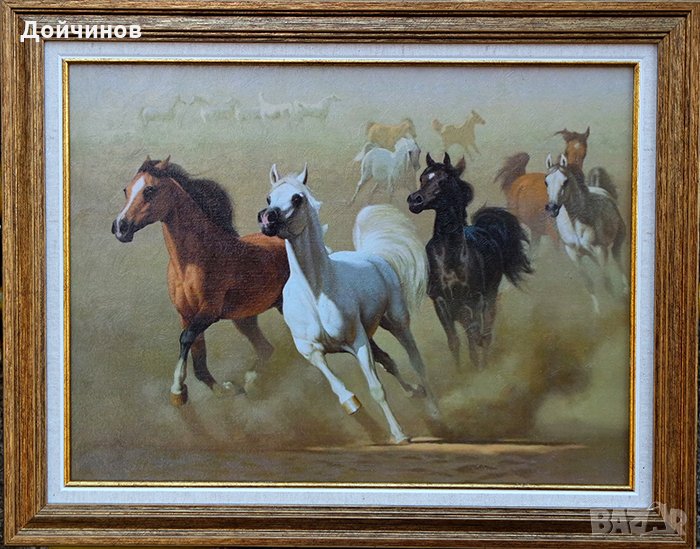 Арабски коне в пустинята, картина с рамка, снимка 1