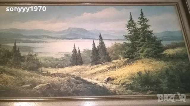 картина с рамка-внос швеицария-111х51см, снимка 11 - Колекции - 25516623