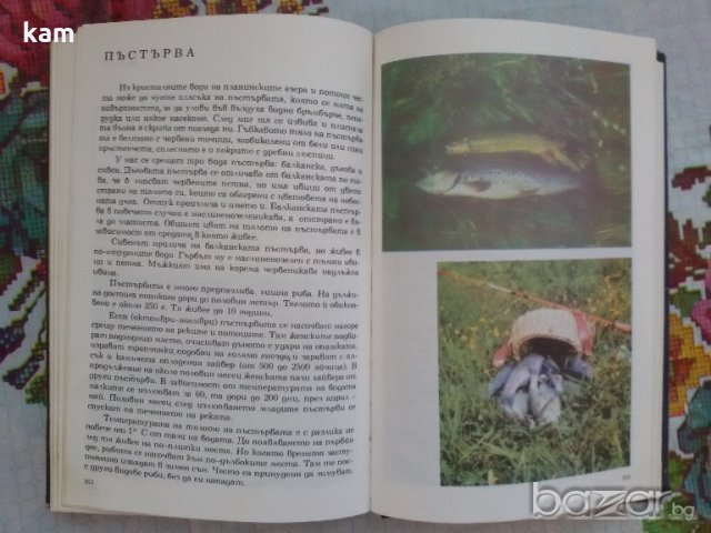 Албум за Растения и Животни - София 1976, снимка 10 - Художествена литература - 17111137