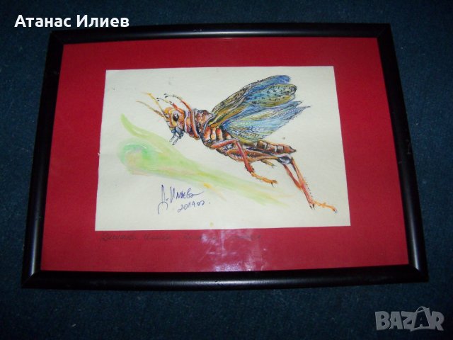 "Насекомо" 1 картина на худ. Десислава Илиева, снимка 4 - Картини - 24715537