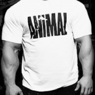Fitness Mania - ПОСЛЕДНИ БРОЙКИ! Мъжки тениски ANIMAL POWER - различни цветове!, снимка 1 - Тениски - 11419904