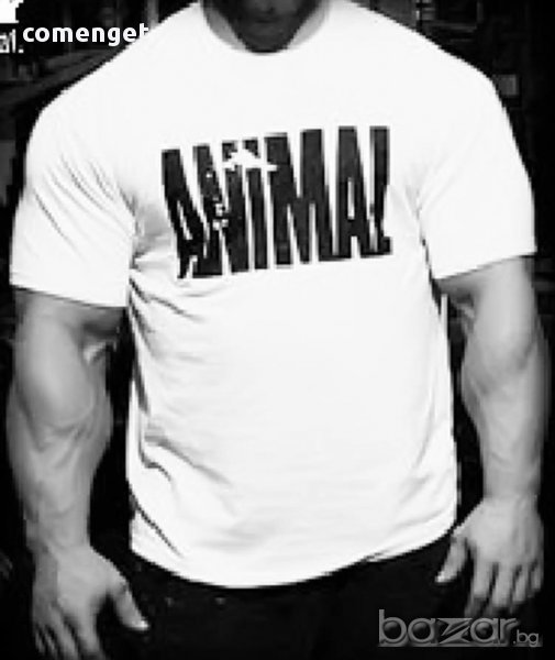 Fitness Mania - ПОСЛЕДНИ БРОЙКИ! Мъжки тениски ANIMAL POWER - различни цветове!, снимка 1