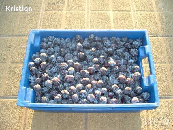 Сливи за алкохол на изключително ниски цени, снимка 2 - Други услуги - 22582977