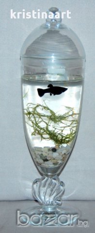  3 броя универсални стъклени чаши-бонбониера , снимка 8 - Чаши - 13428144