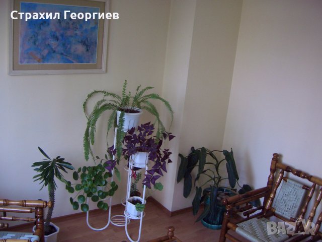 Зъболекар Слатина Дентални кабинети  „ Д-р Георгиеви" , снимка 8 - Медицински, стоматологични - 24249864