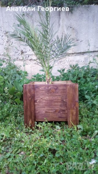 Дървени саксии (кашпи) за растения, снимка 1