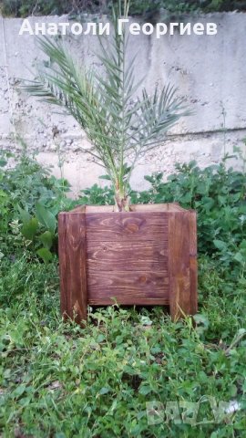 Дървени саксии (кашпи) за растения, снимка 1 - Саксии и кашпи - 21636607