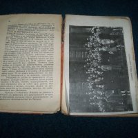 "Виена образец на общинско самоуправление" издание 1929г., снимка 6 - Други - 22186145