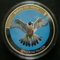 10 квача 2010(Peregrine falcon), Малави, снимка 1 - Нумизматика и бонистика - 25916708