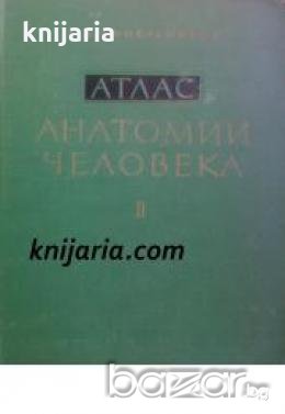 Атлас анатомии человека в трех томах том 2 