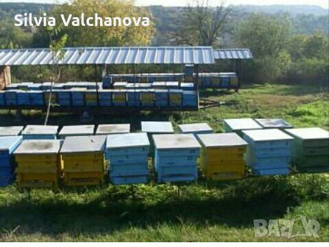 пчеларска платформа 14м., снимка 7 - Ремаркета - 22925561