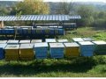 пчеларски платформи 2 бр. 14м., снимка 7