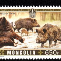  Сет от две марки Година на глигана/свинята/, 2019, Монголия, снимка 2 - Филателия - 24417627