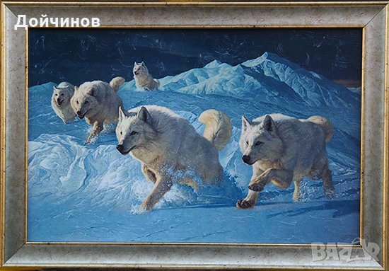 Бели вълци, картина, снимка 1