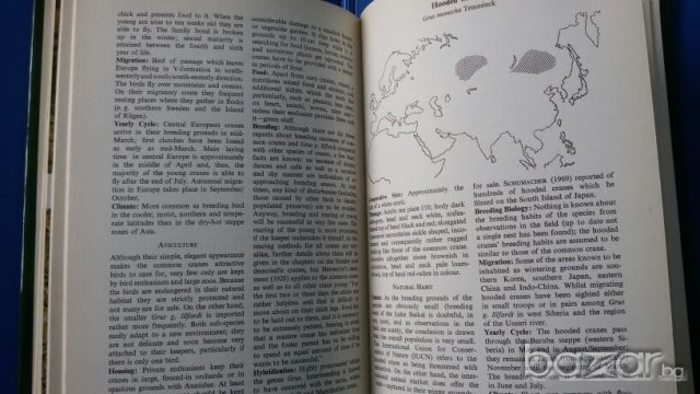 Ornamental waterfowl by Hartmut Kolbe (in English) За любителите на птичия свят - водолюбивите птици, снимка 7 - Специализирана литература - 20844430