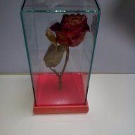 Роза за за свети валентин или 8 март, снимка 12 - Декорация за дома - 13751762