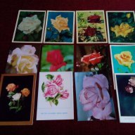 Пощенски картички с рози - фотоси и рисунки, снимка 1 - Антикварни и старинни предмети - 17391124