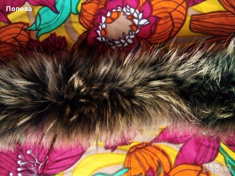 Лента лисица, снимка 1