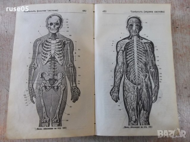 Книга "Пъленъ речникъ на чужди думи - З.Футековъ" - 566 стр., снимка 8 - Чуждоезиково обучение, речници - 24799962