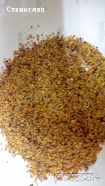 Пчелен прашец, снимка 1