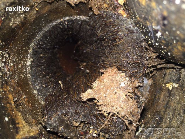 Отпушване на канали , снимка 4 - Други услуги - 20606431