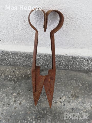 Стара ножица за вълна , снимка 1 - Антикварни и старинни предмети - 25943498