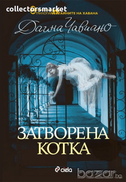 Затворена котка, снимка 1