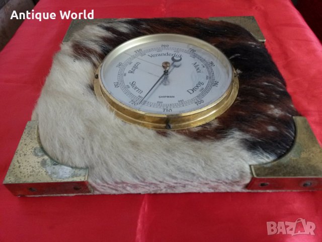 Стенен Немски БАРОМЕТЪР с Ярешка Козина, снимка 2 - Антикварни и старинни предмети - 24338542