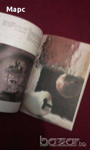 Цветна фотография за всички, снимка 6 - Художествена литература - 15445012