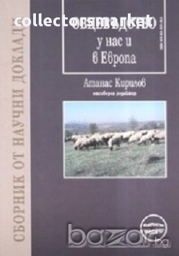 Овцевъдство у нас и в Европа, снимка 1