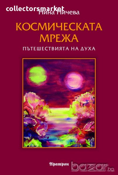 Космическата мрежа. Пътешествията на духа, снимка 1