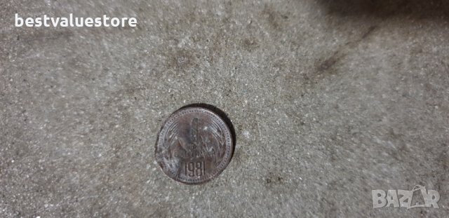 1 стотинка От 1981г., снимка 1 - Нумизматика и бонистика - 25456506