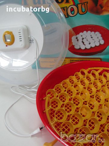  Инкубатори - Официален вносител за България! Собствен сервиз!, снимка 4 - За селскостопански - 7756950