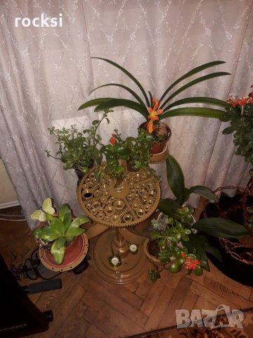 Арт стойка за цветя , свещи или друга декорация или вещи, снимка 14 - Декорация за дома - 23918389