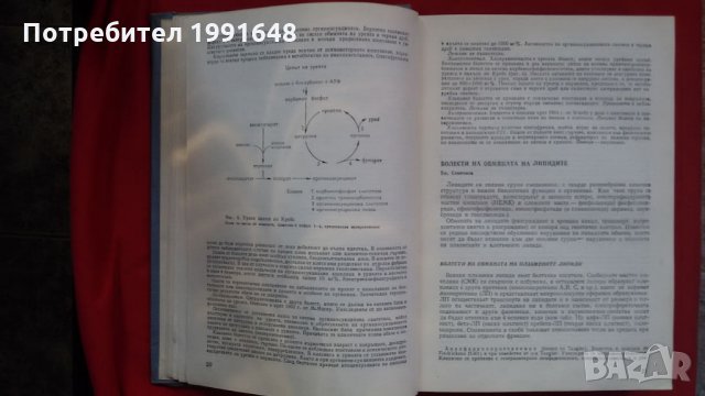 Книги за медицина: „Клинична педиатрия“ 2 част – проф. Бр.Братанов – народен деятел на науката, снимка 12 - Учебници, учебни тетрадки - 23999681