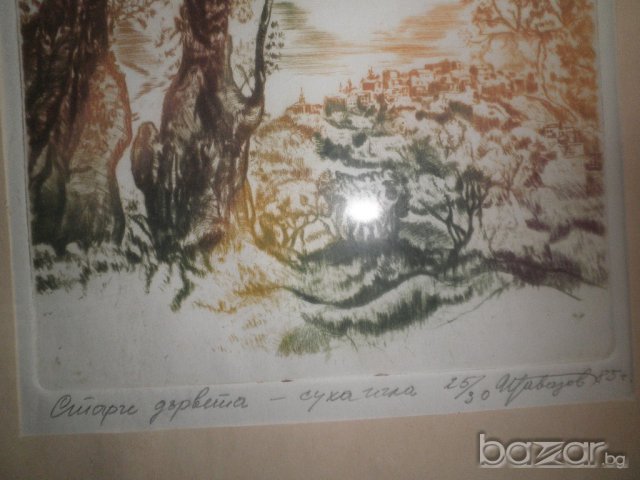 Подписана картина"Стари дървета"-суха игла-1985година, снимка 4 - Други ценни предмети - 16531745