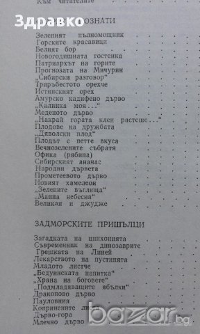 С. Ивченко – Загадката на цинхонията, снимка 3 - Художествена литература - 15192622