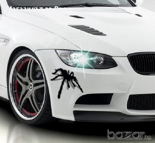 Стикер за кола 017, снимка 8 - Аксесоари и консумативи - 17514593