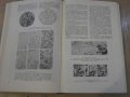 Книга "Металлы и их заменители - Ю.И.Ривлин" - 440 стр., снимка 3