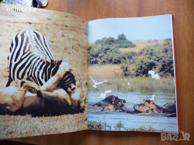 Нови приключения с диви животни - Бернхард Гжимек, снимка 5 - Специализирана литература - 21946443