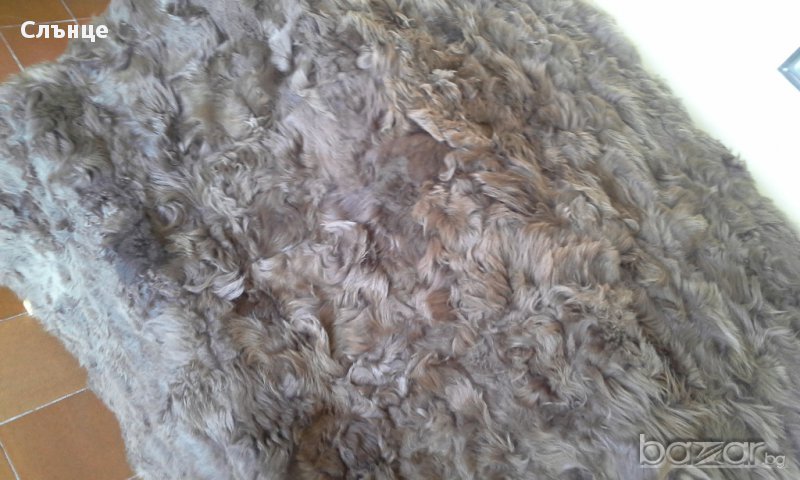 Кожа, снимка 1