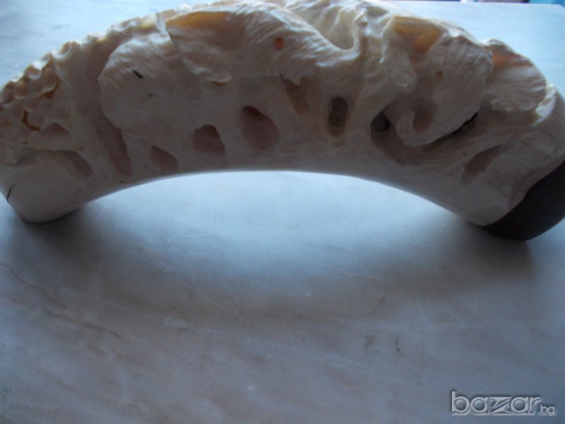 Слонова кост, снимка 1