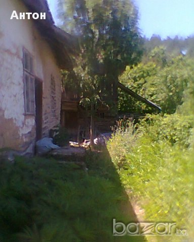 къща с двор в с Стакевци община Видин, снимка 5 - Къщи - 13418561