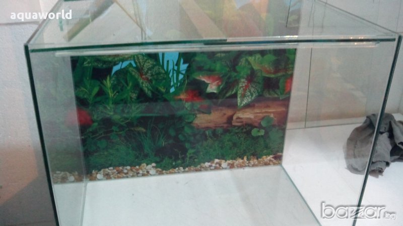 Изработка на аквариуми и терариуми, снимка 1