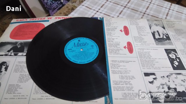 Грамофонна плоча- Skaldowie - Cała Jesteś W Skowronkach , снимка 2 - Грамофонни плочи - 17797544