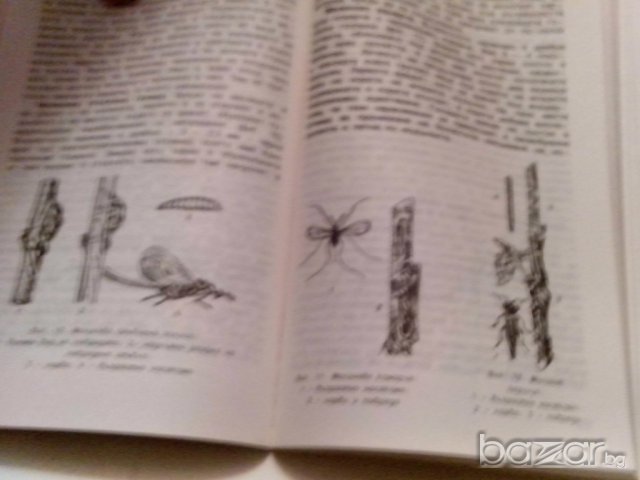 ягодоплодните култури в нашата градина-от земиздат, снимка 7 - Художествена литература - 9668997