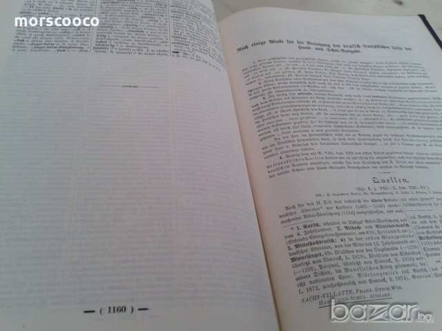 Два стари Немско-Френски речника - 1902-1905г., снимка 8 - Чуждоезиково обучение, речници - 20859948