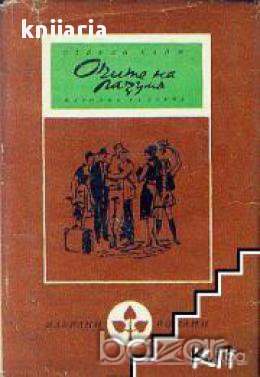 Очите на разума, снимка 1 - Художествена литература - 17362083