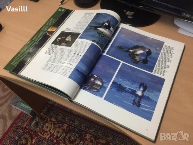 Уникална Немска Енциклопедия/ *1982г* , снимка 6 - Колекции - 23707356