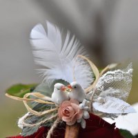 подаръци за гости гълъби на канелена пръчка, снимка 2 - Сватбени аксесоари - 23908240